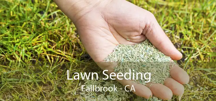 Lawn Seeding Fallbrook - CA