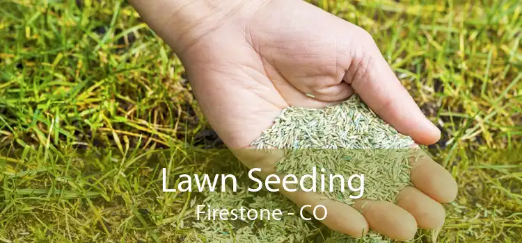 Lawn Seeding Firestone - CO
