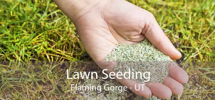 Lawn Seeding Flaming Gorge - UT