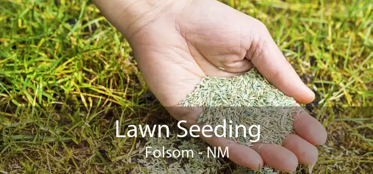 Lawn Seeding Folsom - NM
