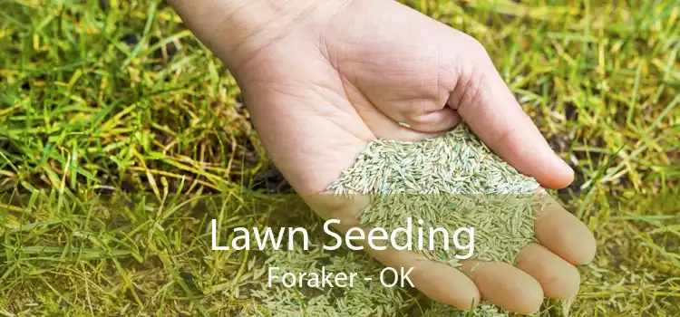 Lawn Seeding Foraker - OK