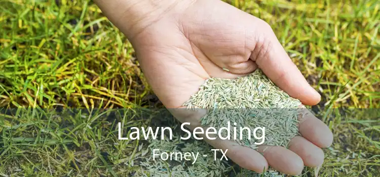 Lawn Seeding Forney - TX