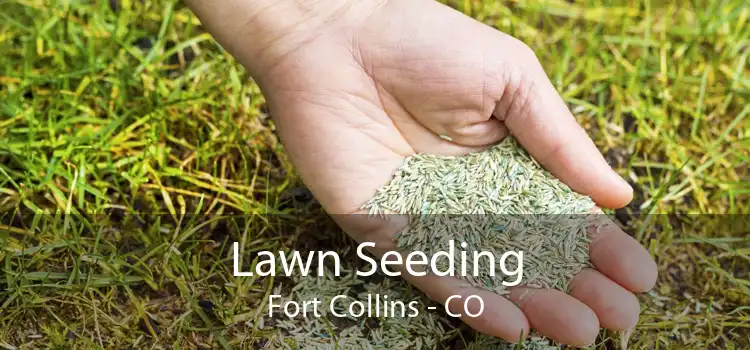 Lawn Seeding Fort Collins - CO