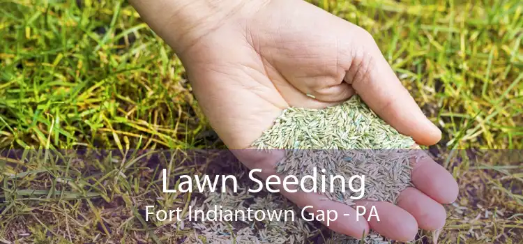 Lawn Seeding Fort Indiantown Gap - PA