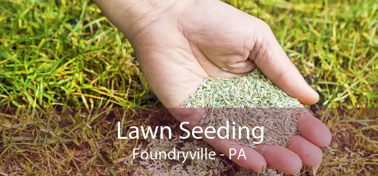 Lawn Seeding Foundryville - PA