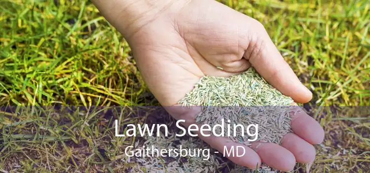  Lawn Seeding Gaithersburg - MD