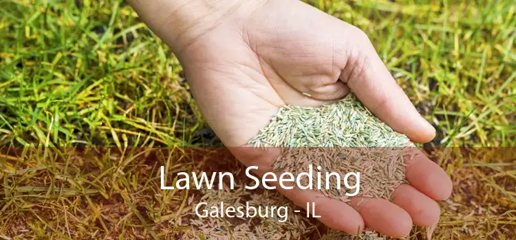Lawn Seeding Galesburg - IL
