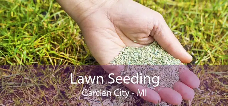 Lawn Seeding Garden City - MI