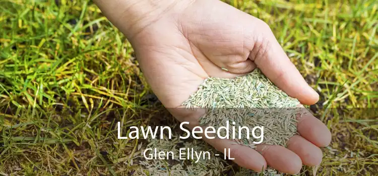 Lawn Seeding Glen Ellyn - IL