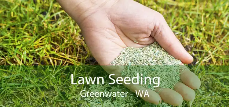 Lawn Seeding Greenwater - WA