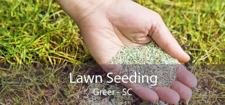 Lawn Seeding Greer - SC