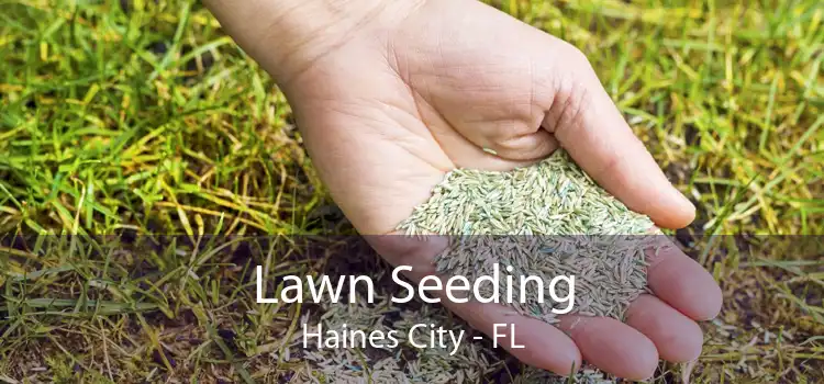 Lawn Seeding Haines City - FL
