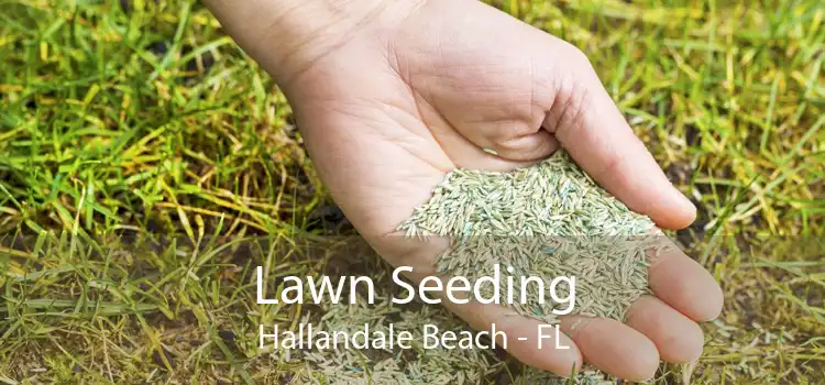 Lawn Seeding Hallandale Beach - FL