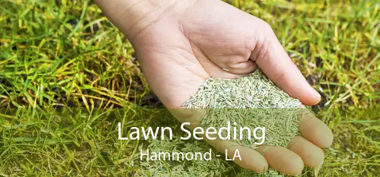 Lawn Seeding Hammond - LA