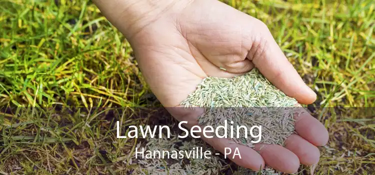 Lawn Seeding Hannasville - PA