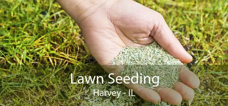 Lawn Seeding Harvey - IL
