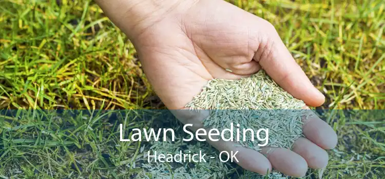 Lawn Seeding Headrick - OK