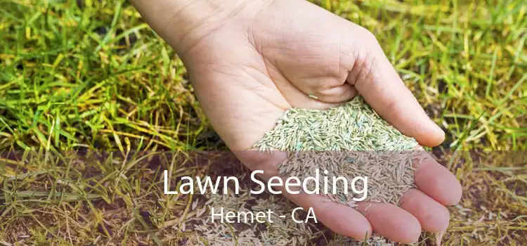 Lawn Seeding Hemet - CA