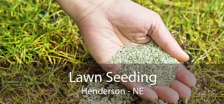 Lawn Seeding Henderson - NE