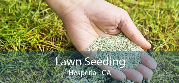 Lawn Seeding Hesperia - CA