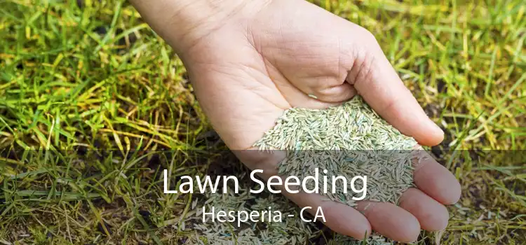  Lawn Seeding Hesperia - CA