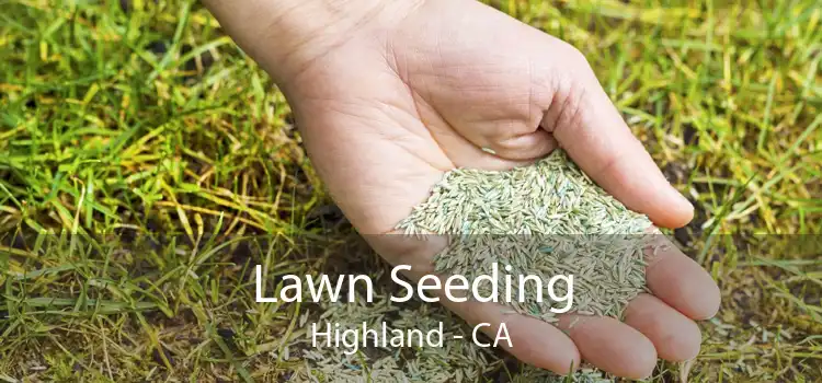  Lawn Seeding Highland - CA