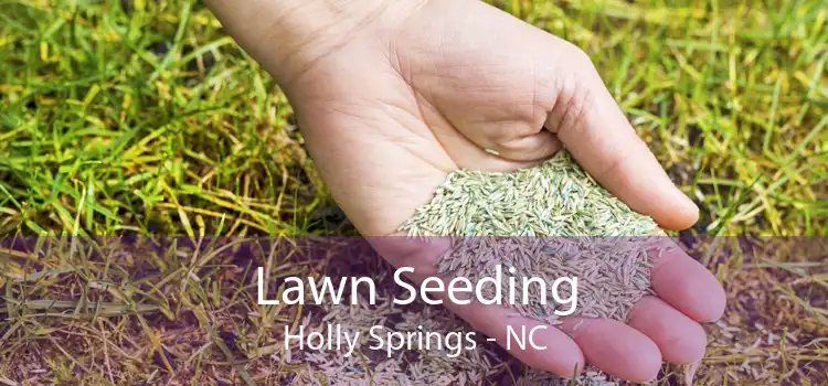  Lawn Seeding Holly Springs - NC