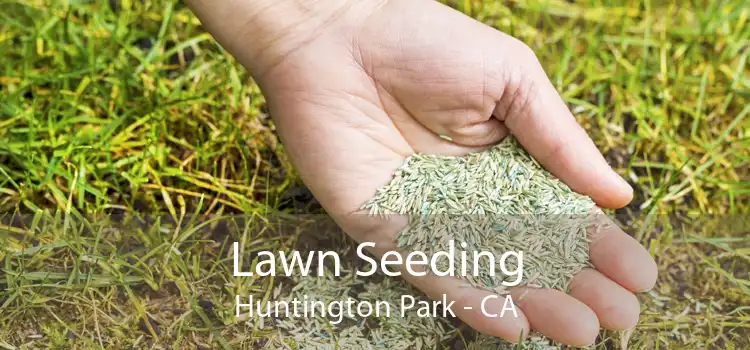Lawn Seeding Huntington Park - CA