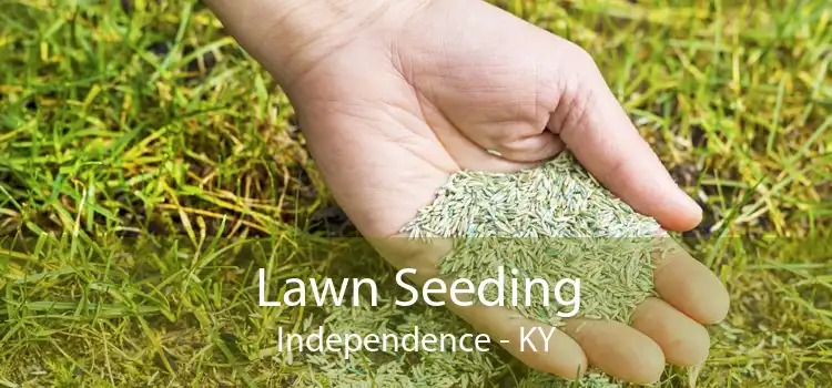 Lawn Seeding Independence - KY