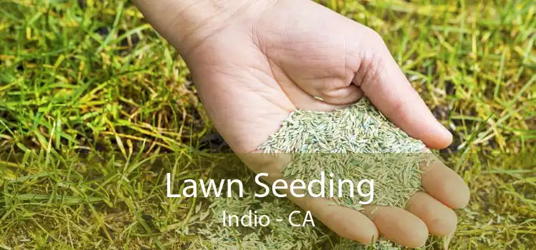 Lawn Seeding Indio - CA