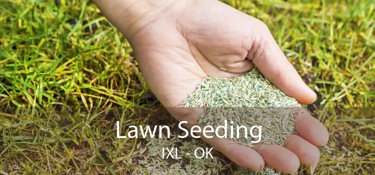 Lawn Seeding IXL - OK