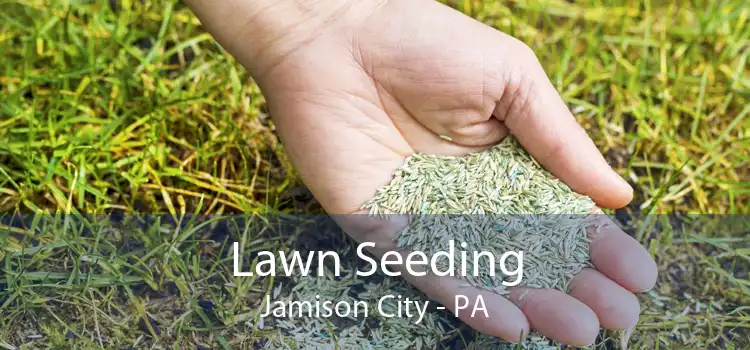 Lawn Seeding Jamison City - PA