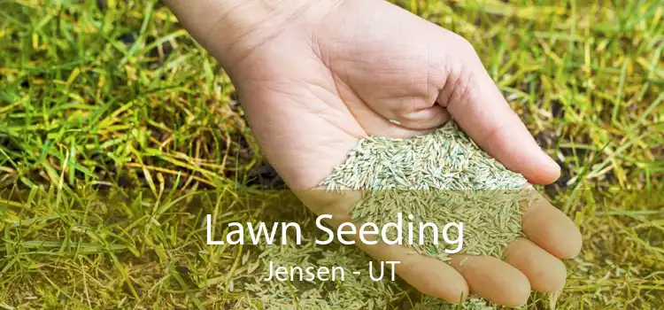 Lawn Seeding Jensen - UT