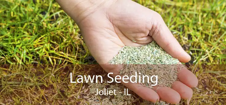 Lawn Seeding Joliet - IL