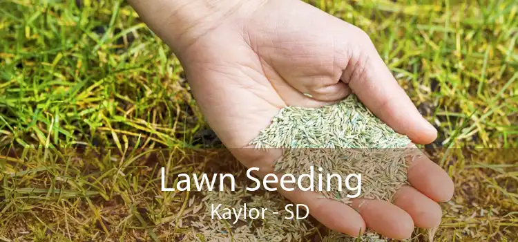 Lawn Seeding Kaylor - SD