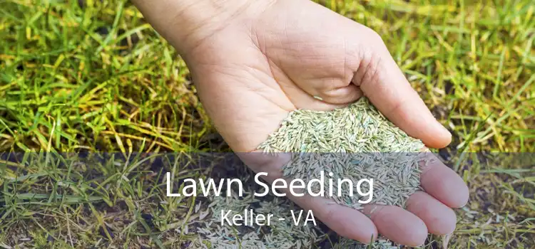 Lawn Seeding Keller - VA
