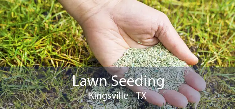 Lawn Seeding Kingsville - TX