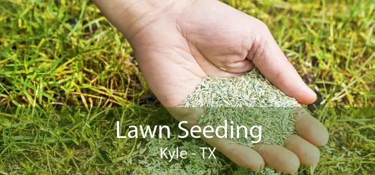 Lawn Seeding Kyle - TX