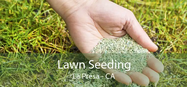Lawn Seeding La Presa - CA