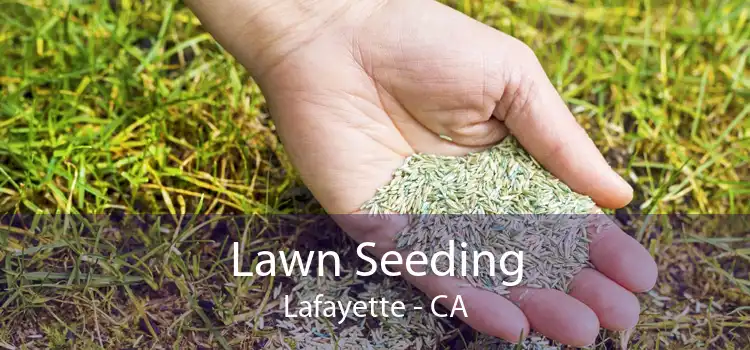 Lawn Seeding Lafayette - CA
