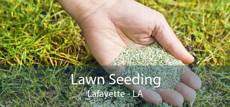 Lawn Seeding Lafayette - LA