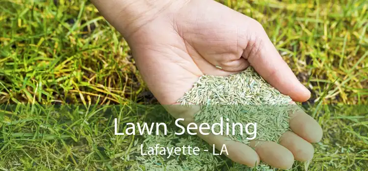 Lawn Seeding Lafayette - LA