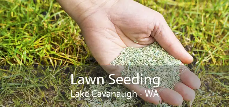 Lawn Seeding Lake Cavanaugh - WA