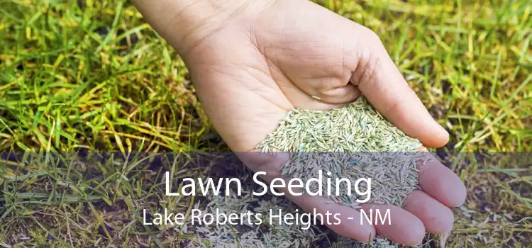 Lawn Seeding Lake Roberts Heights - NM