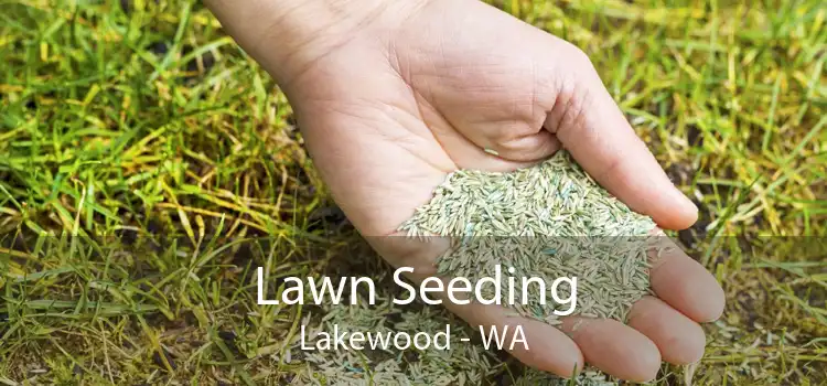 Lawn Seeding Lakewood - WA