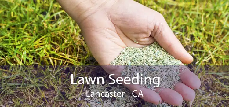 Lawn Seeding Lancaster - CA