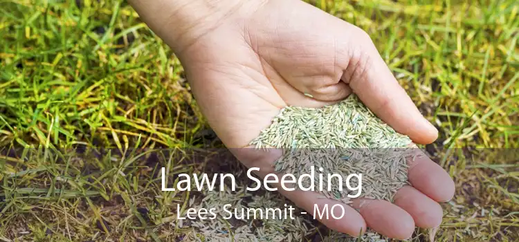 Lawn Seeding Lees Summit - MO