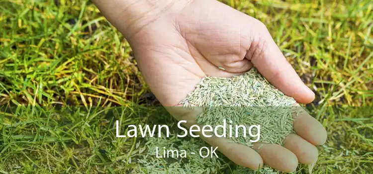 Lawn Seeding Lima - OK