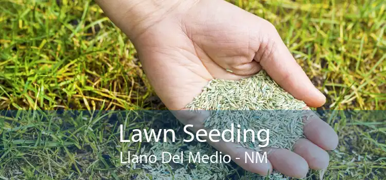 Lawn Seeding Llano Del Medio - NM