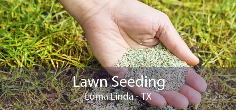 Lawn Seeding Loma Linda - TX